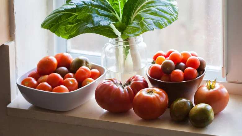 The Gardening Myth About Ripening Tomatoes That Might Just Work, According To House Digest’s Master Gardener