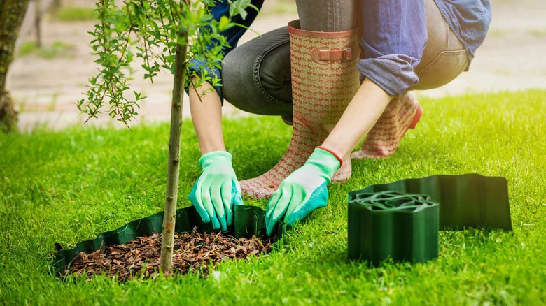 The Genius Tip That Makes Installing Edging 10x Easier