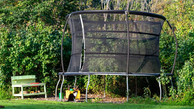The Genius Way To Repurpose A Trampoline In The Garden When Your Kids Outgrow It