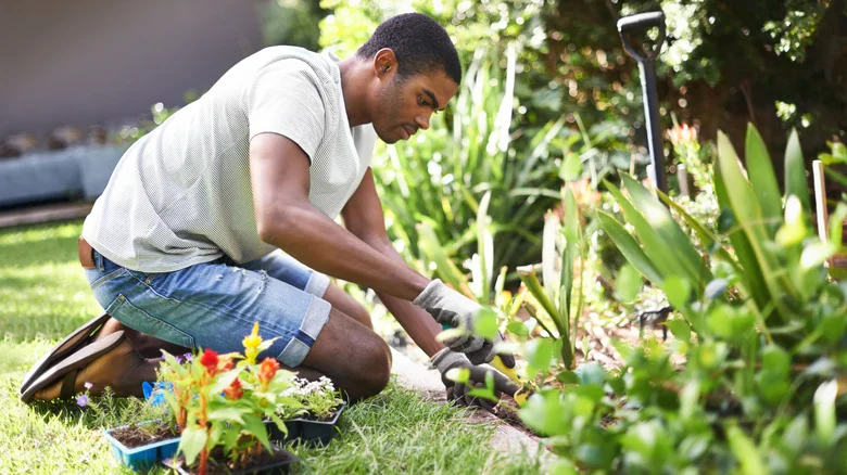 The Gravel Solution That Works For Small Garden Bed Borders