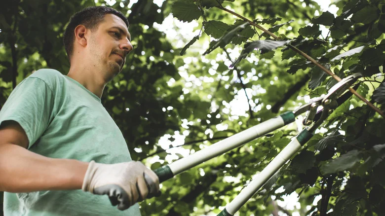The Hack That’ll Extend The Reach Of Your Gardening Loppers