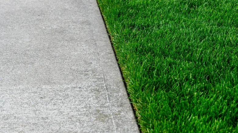 The Household Staple That Can Help With Landscape And Driveway Edging In A Pinch