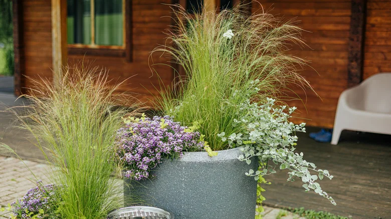 The Inexpensive Way To Fill Large Planters With A Common Storage Item