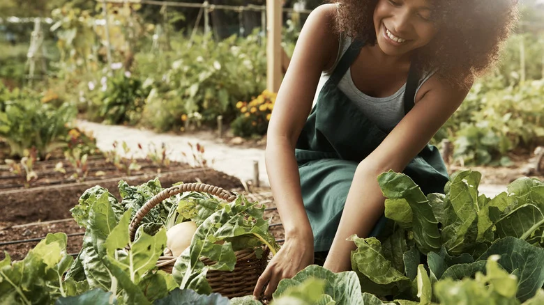 The Kitchen Ingredient That’ll Revolutionize Your Garden’s Health