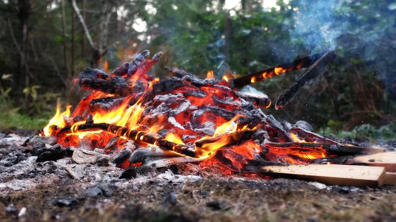 The Kitchen Ingredient You Can Use To Put Out A Bonfire At The End Of A Night