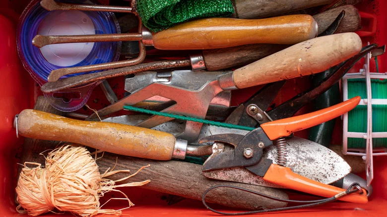 The Kitchen Ingredient You Should Use To Clean Your Gardening Tools
