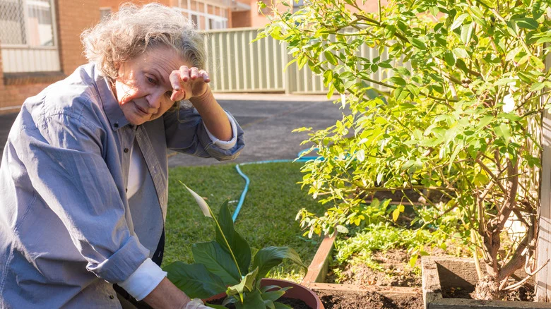 The Kneeler Seat On Amazon That Makes Gardening An Easier And More Comfortable Experience