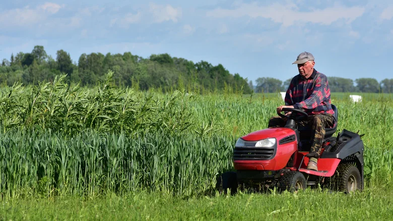The Lawn Mower Task To Do In August To Keep It Running Smoothly