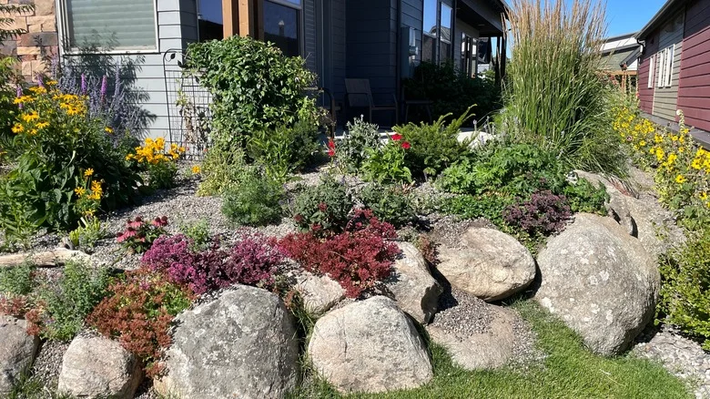 The Lush Flowering Plant That Happily Spills Over Stone Edging Or Borders