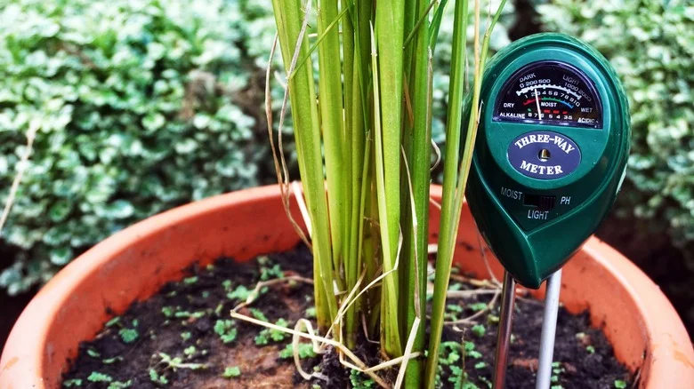 The Main Reason Why Moisture Meters Aren’t Always Reliable