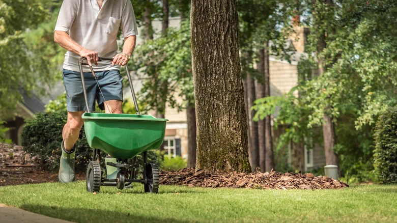 The Minimum Amount Of Times You Can Fertilize Your Lawn, According To An Expert