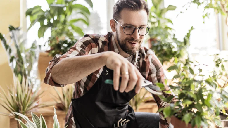 The Mistake Too Many People Make When Propagating Plants