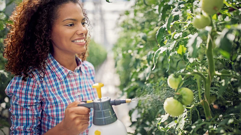 The Most Common Mistake About Organic Pest Control