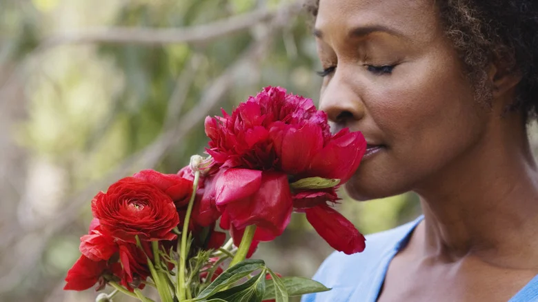 The Most Fragrant Peonies That You Will Want In Your Garden