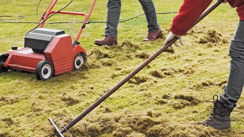 The Most Important Lawn Care Task You Must Do Right After Your First Mow Of The Spring