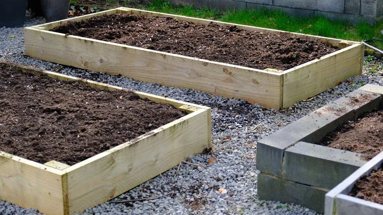 The Most Important Soil Tip For Raised Garden Beds You’re Likely Skipping