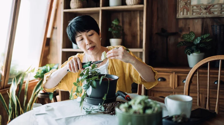 The Natural Product That’ll Keep Your Plants Hydrated For Longer