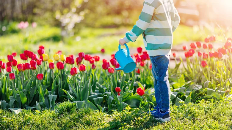 The Number One Rule For Watering Cans, No Matter What Kind You Have