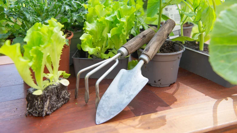 The Obvious Way We Could Have Been Cleaning Gardening Supplies All Along