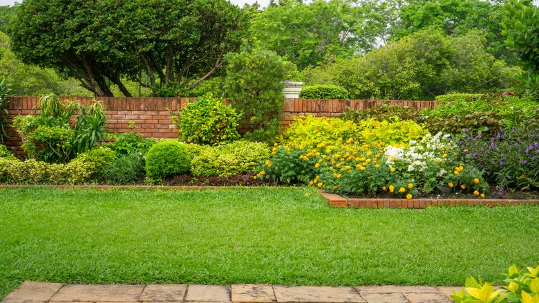 The One Thing You Should Do Before Adding Lime To Your Lawn This Spring