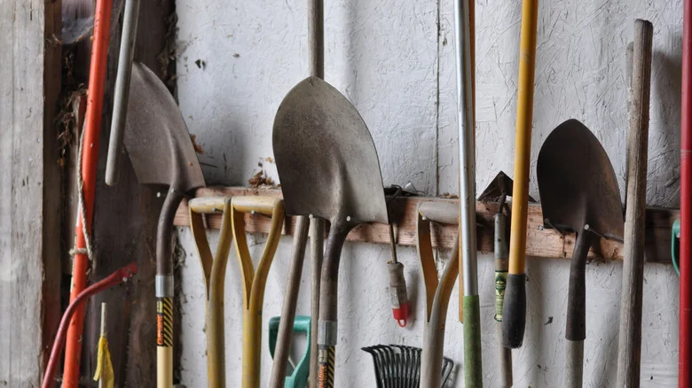 The One Underrated Gadget That’s Actually Worth Having For Your Garden