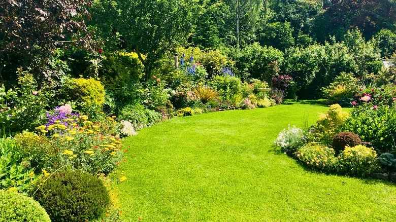 The Ornamental Grass That Gives Garden & Driveway Borders A Soft Pink Touch
