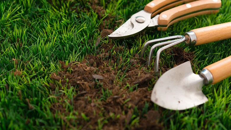 The Pantry Ingredient You’ll Want To Use On Your Gardening Tools