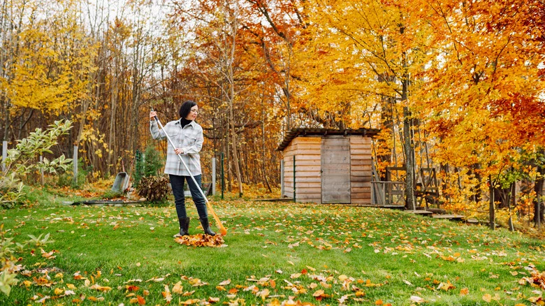 The Perfect Fall Foliage That Effortlessly Transitions To A Houseplant