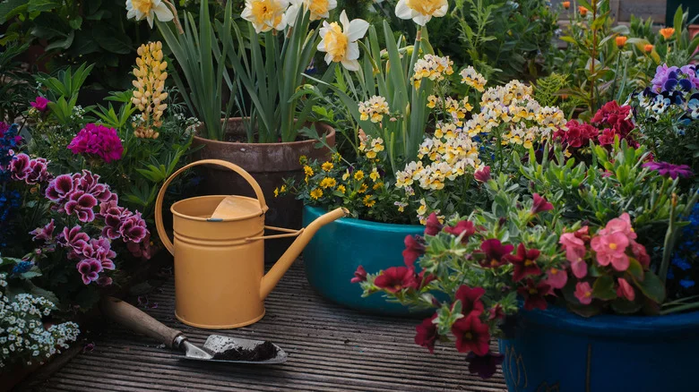 The Popular Flowers Some Gardeners Grow To Deter Ticks (& Does It Actually Work?)