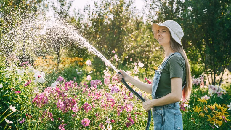 The Popular Garden Shrub You May Be Overwatering And How To Fix It