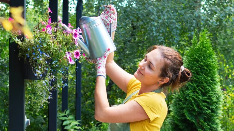 The Pros & Cons Of Retractable Plant Hangers To Decide If They Are Worth Your Time
