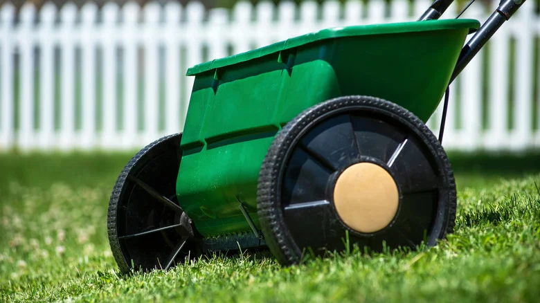 The Salt Fertilizer That Gives Lawns An End-Of-Season Boost (And How To Do It Right)