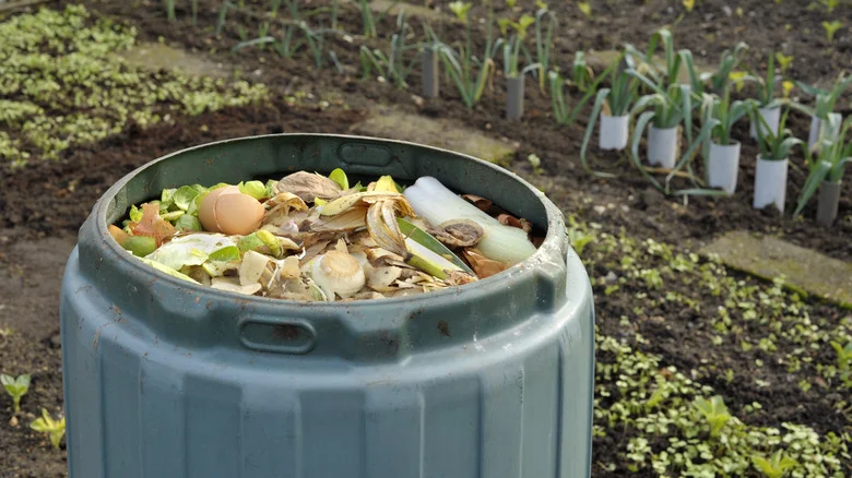 The Secret Ingredient That’ll Make Your Compost Richer Than Ever