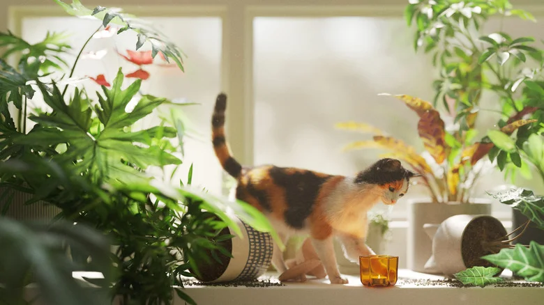 The Secret To Keeping Your Cat Out Of Your Houseplants For Good