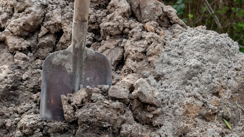 The Simple Amendment That Will Improve The Heavy Clay Soil In Your Garden