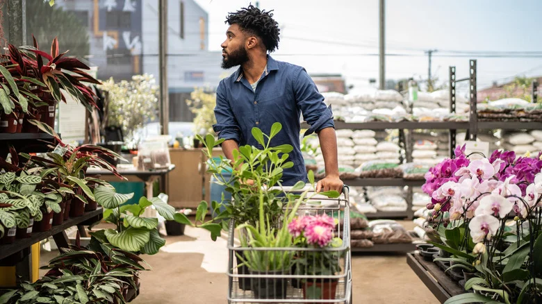 The Simple Formula You Should Use When Designing A Container Garden