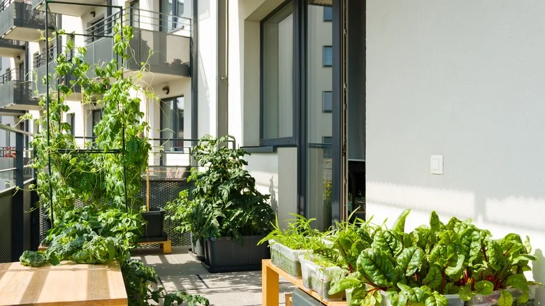The Simple Gardening Practice That Makes Growing Vegetables A Breeze