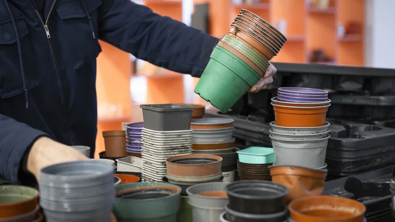The Simple Nursery Pot Hack That’ll Encourage More Birds To Visit Your Yard