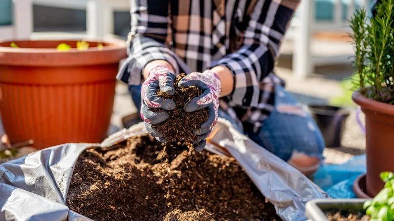The Simple Soil Saving-Solution That’s Perfect For Your Annuals