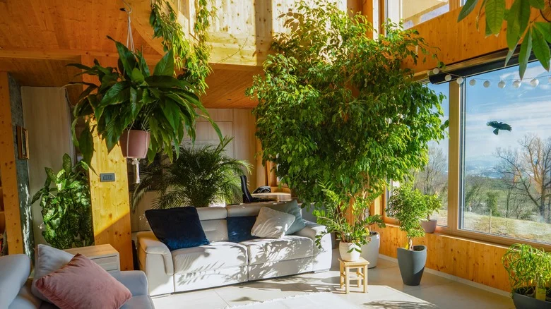 The Simple Trick That Encourages New Growth For Fuller Plants
