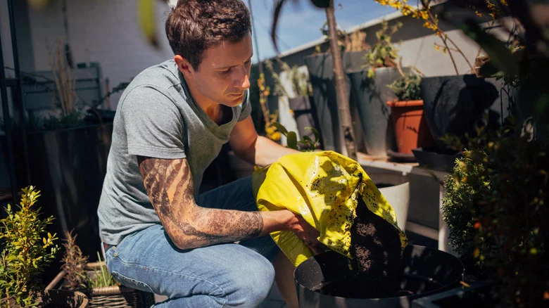 The Smart Hack That May Save You Money On Soil In A Garden Center