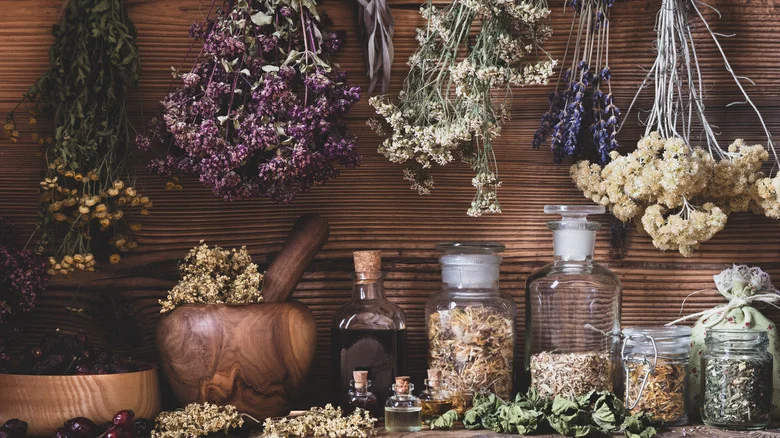The Smell Of These Common Herbs Can Help Chase Pesky Groundhogs Out Of Your Yard