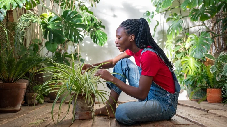 The Sneaky Foolproof Way To Get A Fuller Potted Plant