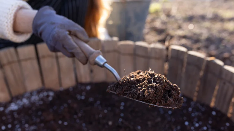The Soil DIY Your Raised Garden Bed Is Begging For