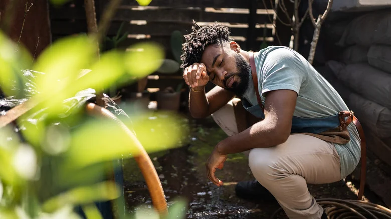 The Soil Mistake That’s Causing Your Raised Garden Beds To Fail