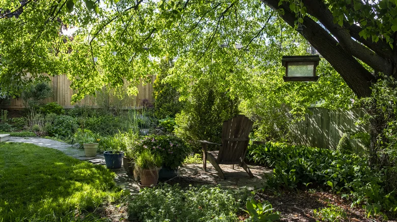 The Strawberry Variety That Can Grow In Your Shady Backyard