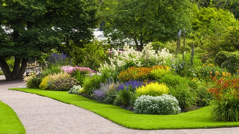 The Stunning Flower You Can Plant Now And Enjoy For Decades