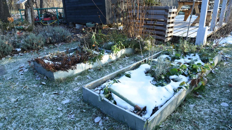 The Stunning Home Feature Martha Stewart Swears By For Winter Gardening