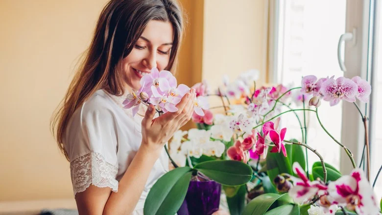 The Summertime Flowering Bulb You Should Plant If You Love Orchids