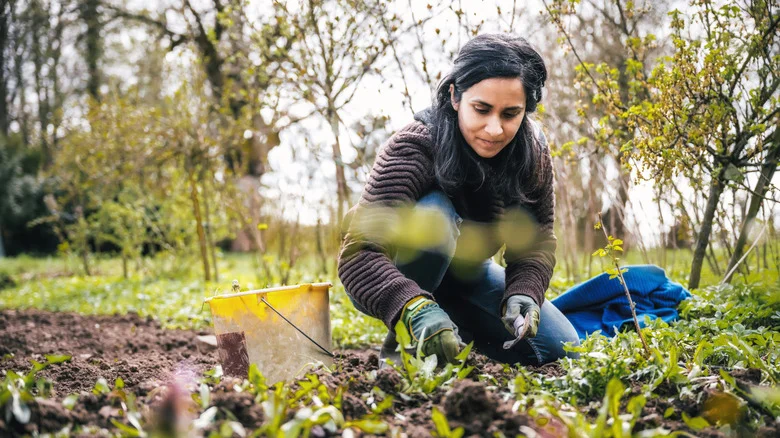 The Tasty Garden Vegetable You Should Plant In Early Spring